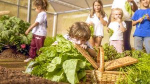 Ibiti Kids: July holidays with children at Ibiti Projeto - visit to Gaia's vegetable garden