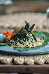Ibiti Projeto vegan taioba risotto
